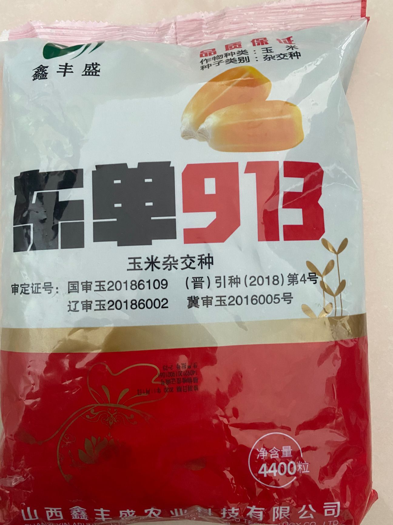 玉米种子  2600斤干粒高产量玉米种，高抗高产，抗逆性强