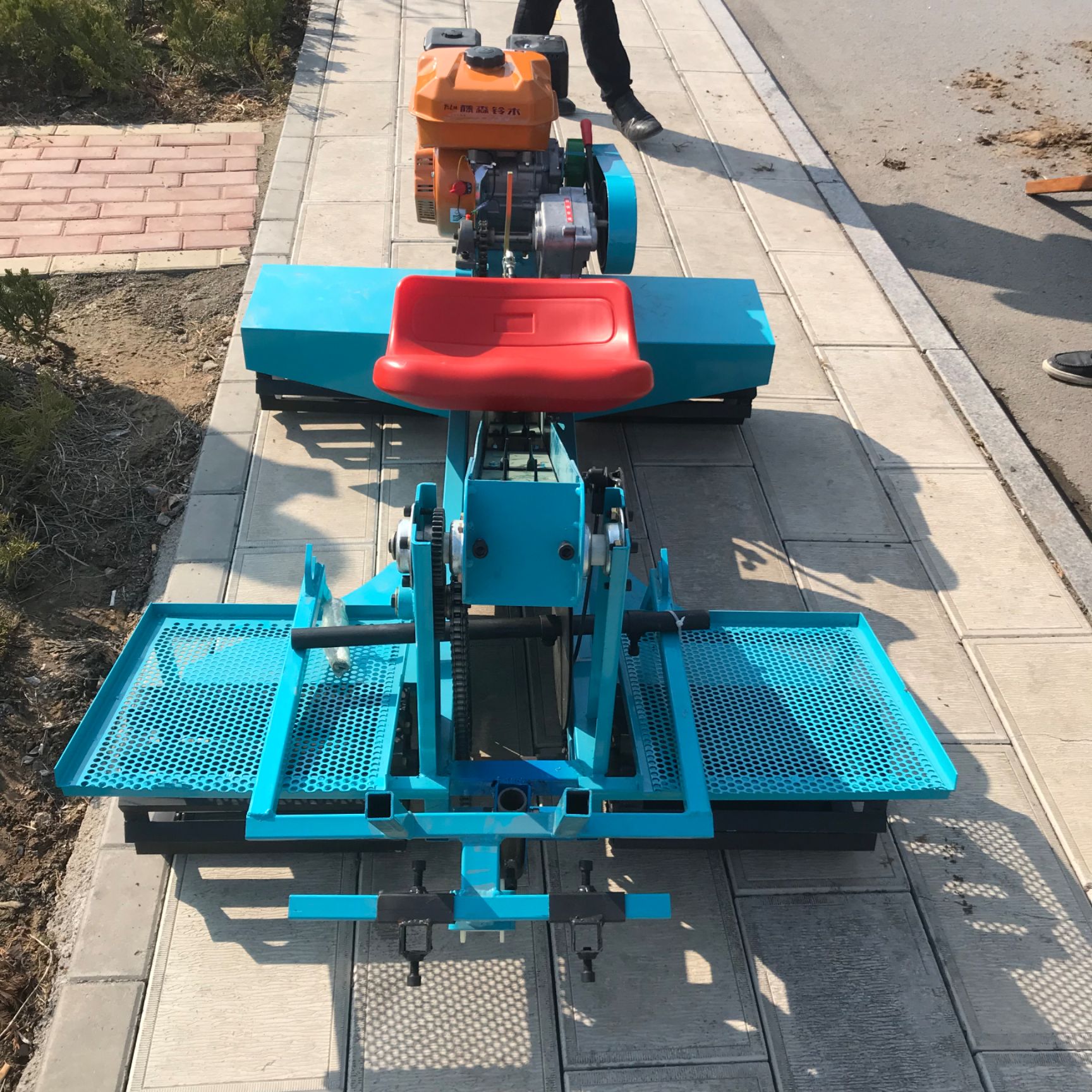 大姜播种机土豆芋头播种机乘坐自由式种距25播种均匀