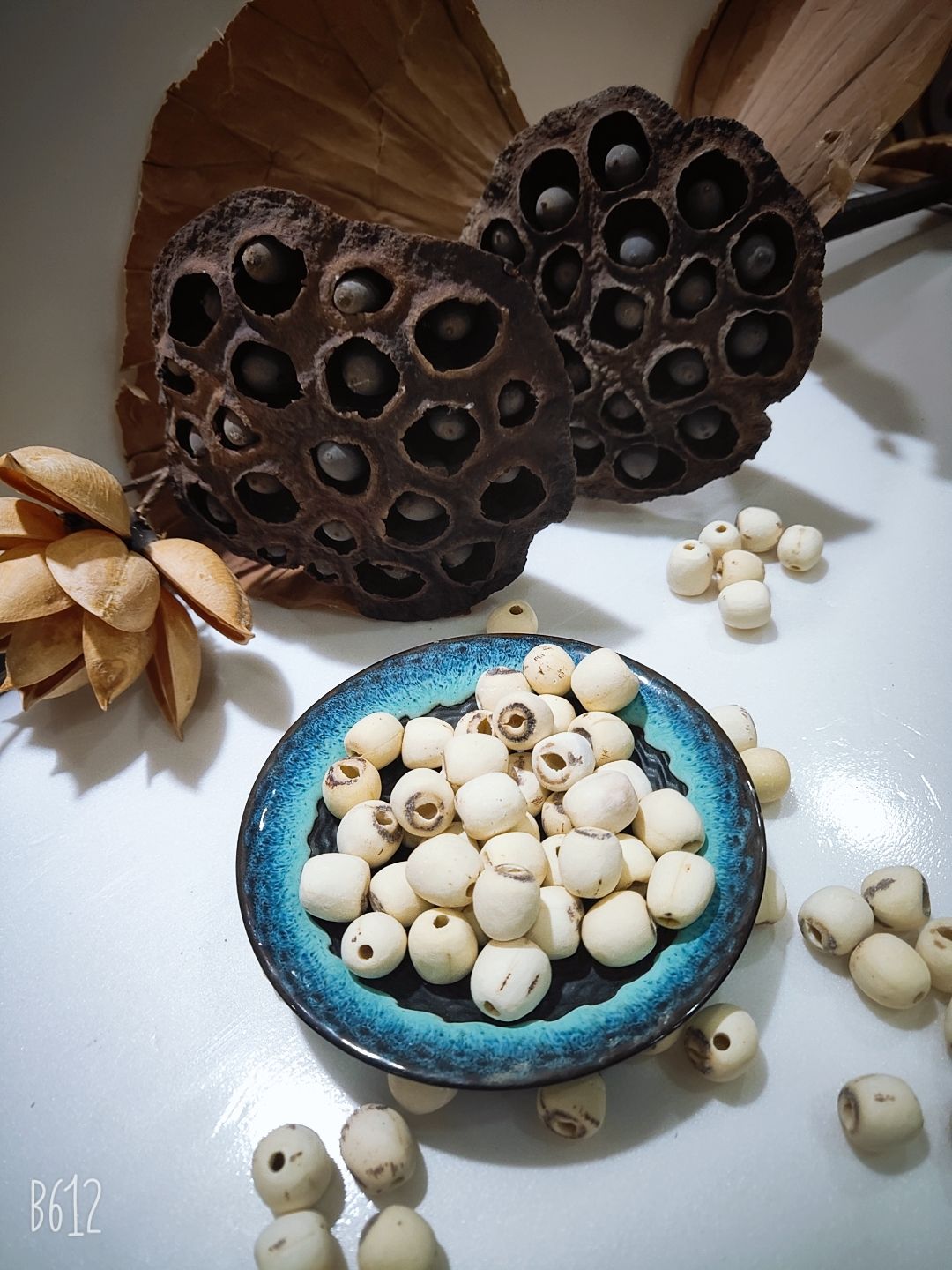  正宗湘莲寸三莲