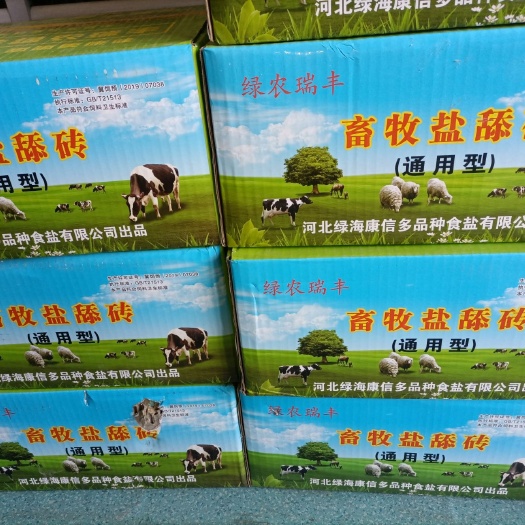 平罗县 牛羊舔砖
