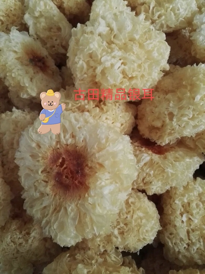 椴木银耳  银耳，金耳专业户需要银耳联系
