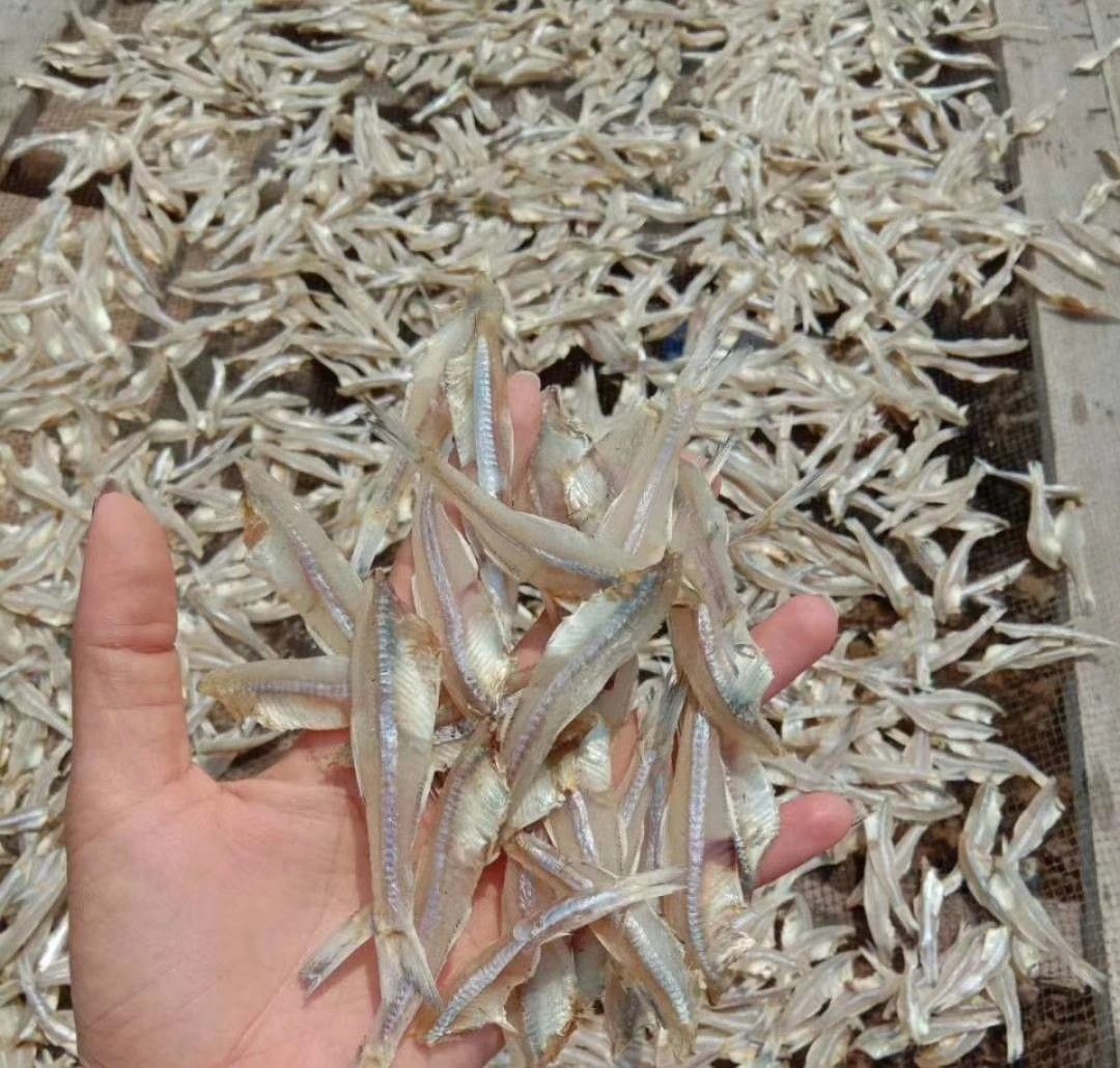 去头小鱼干