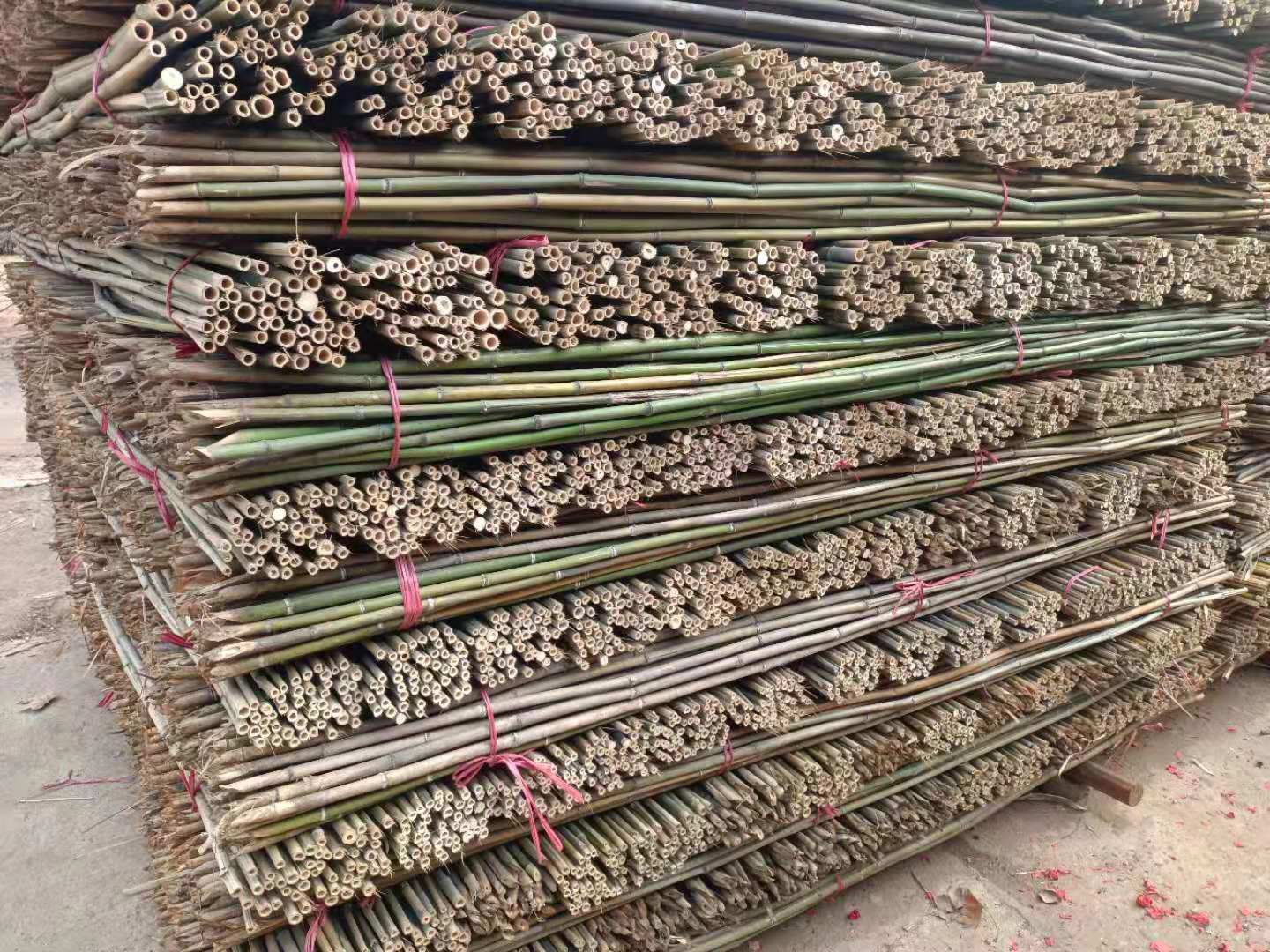 竹竿，菜架竹，金竹，竹子，产地直销，短节肉厚，坚韧耐用