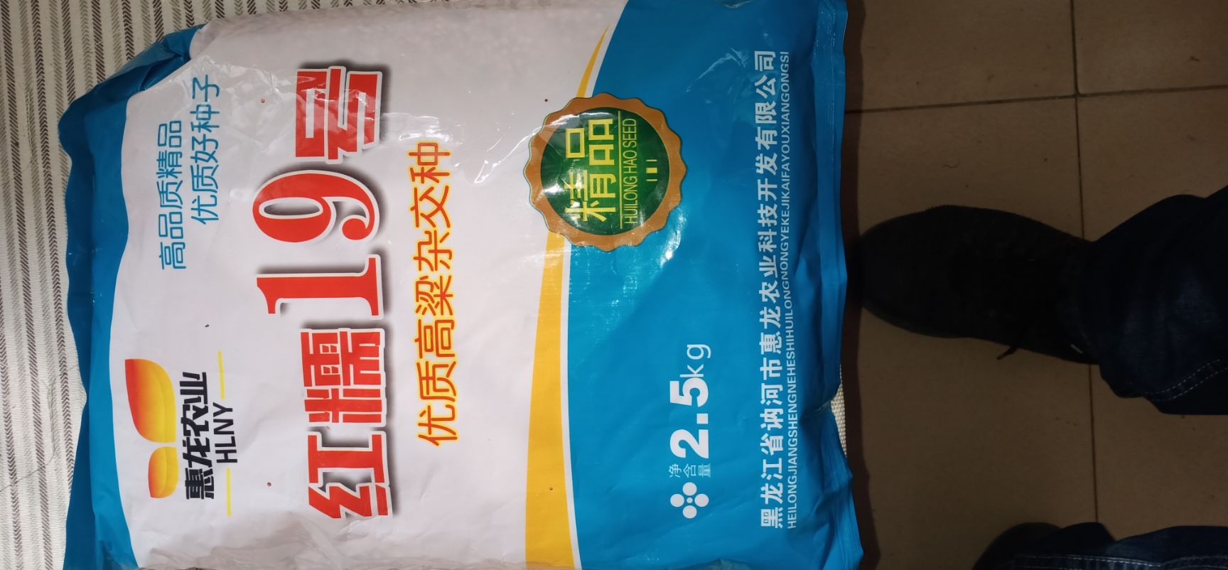 红缨子高粱种子 订单回收干湿都行地头接货  红缨子种子有优惠最低0元