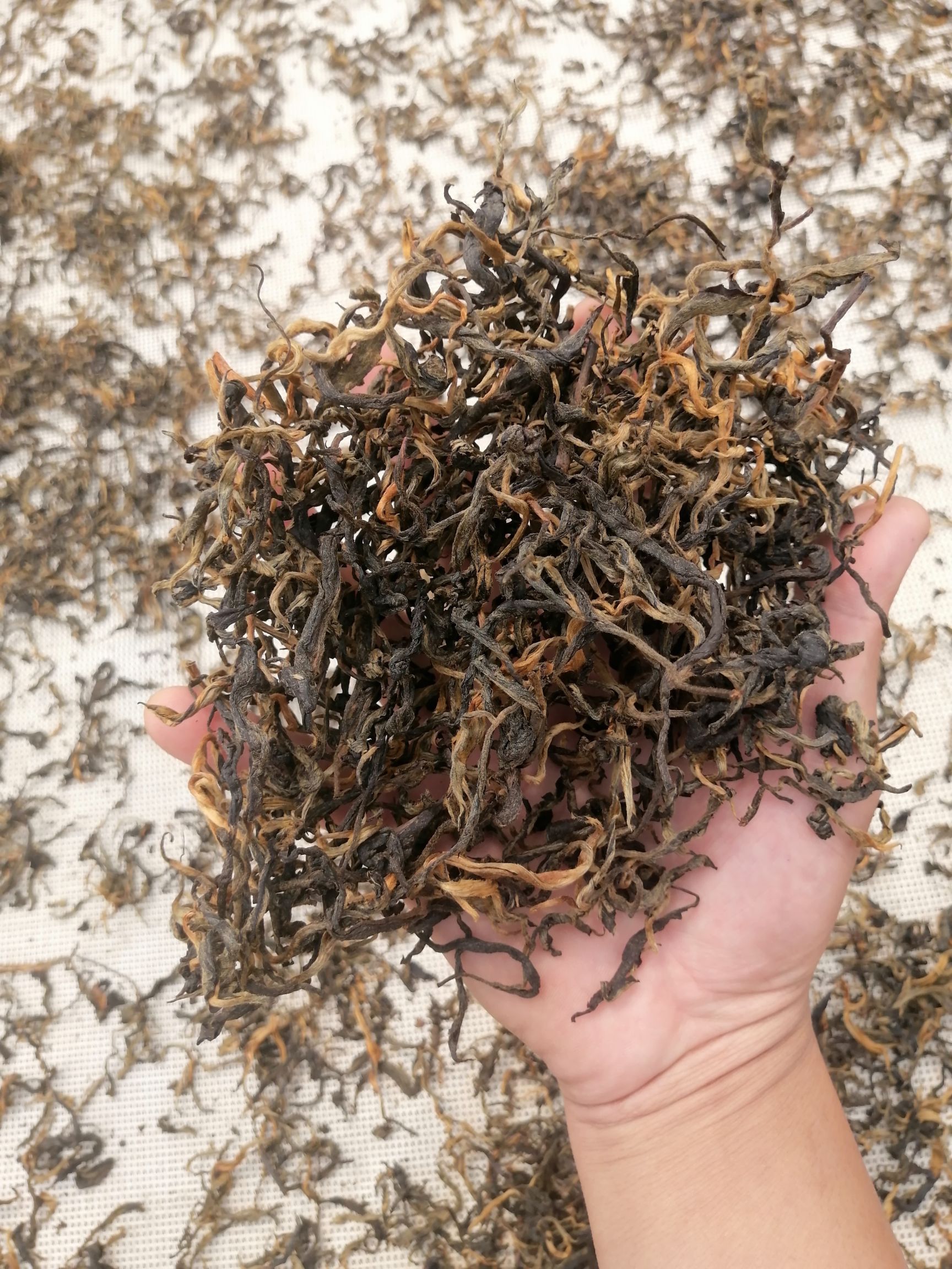 滇红工夫  古树红茶包邮晒红云南红茶功夫红茶包邮红茶自产自销