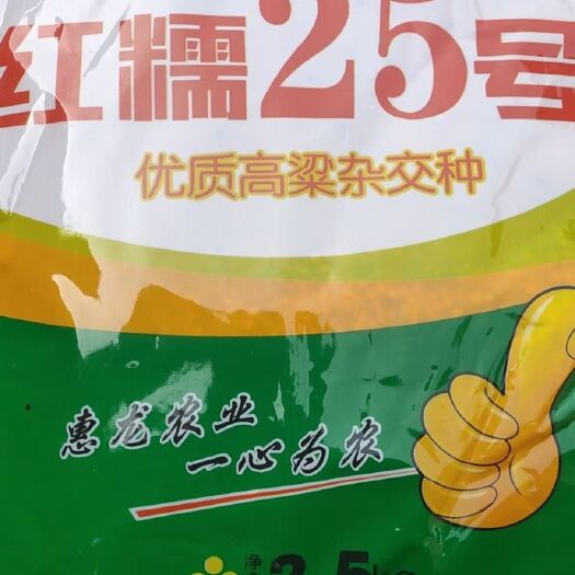 黄骅市红缨子高粱种子 订单回收干湿都行地头接货  红缨子种子有优惠最低0元
