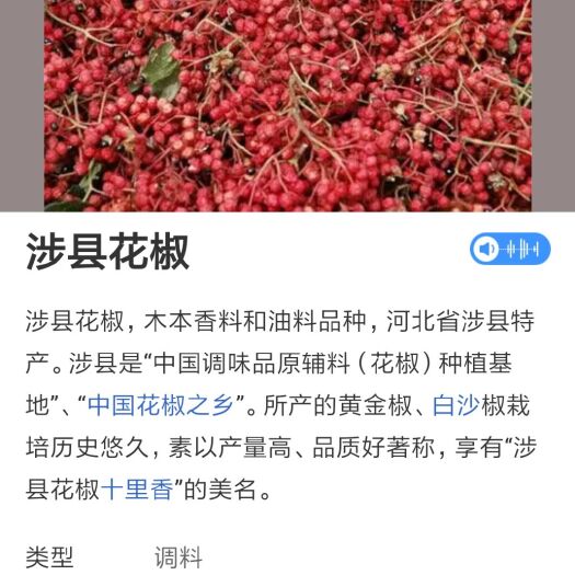 涉县大红袍花椒  自家花椒