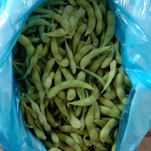 阳谷县毛豆荚 毛豆