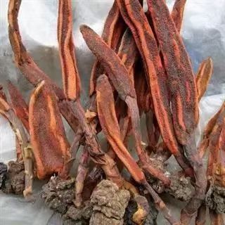 贵港 广西回春草，经过采摘蒸晒，靓货