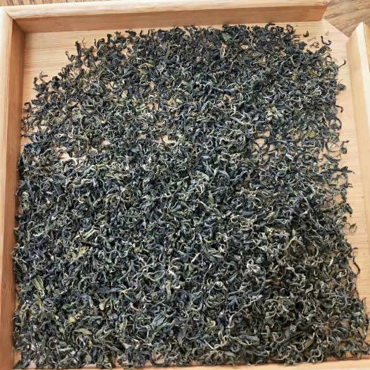 日照龙井茶  农家绿茶自产自销，香味浓郁醇厚，价格实惠。