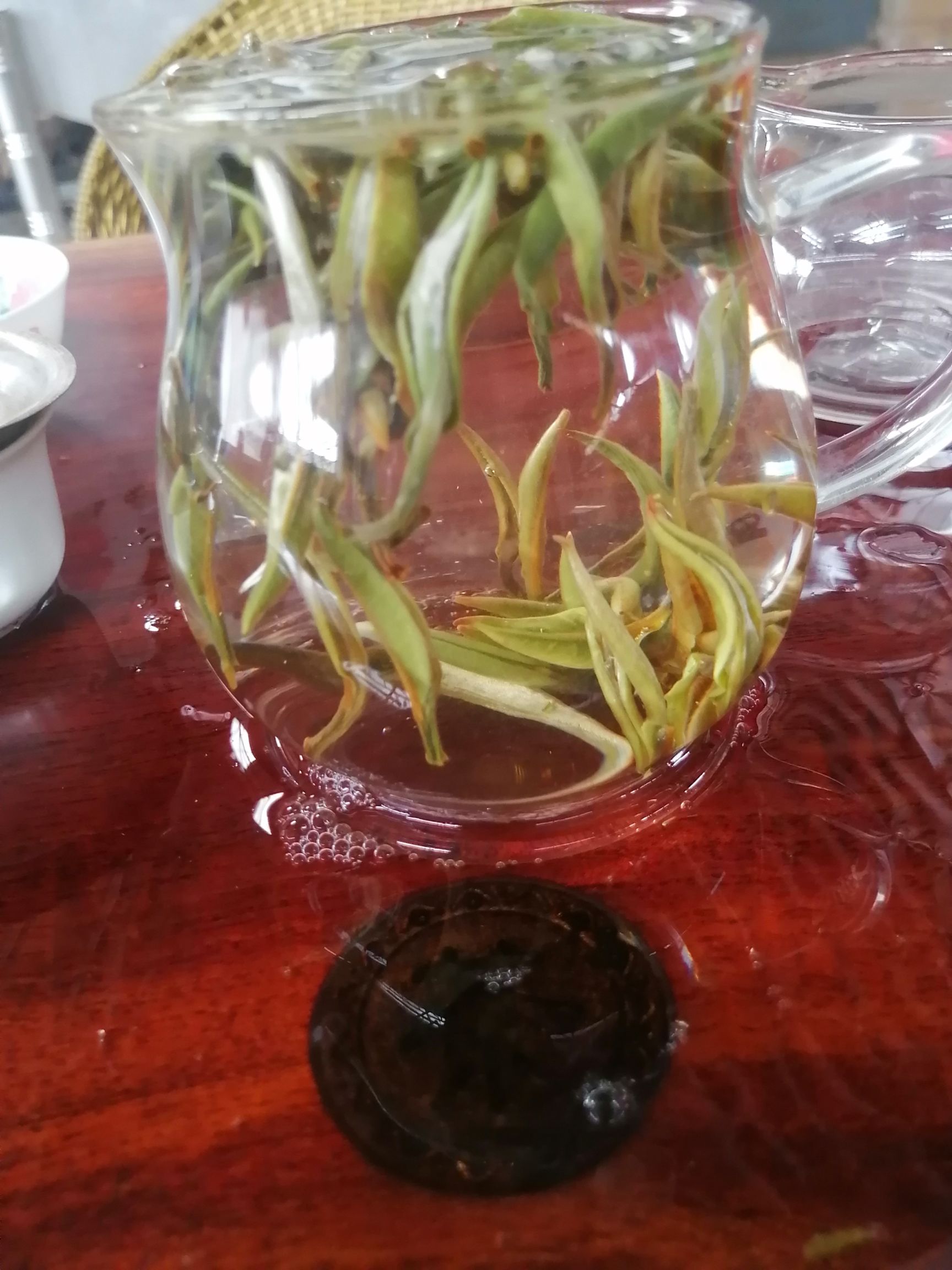 月光白云南白茶头春茶高海拔白茶单芽白茶阴干茶秧塔白茶自产自销