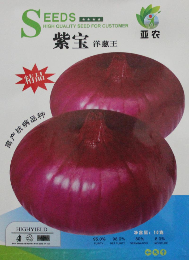 紫宝洋葱红皮洋葱种子5克袋包邮