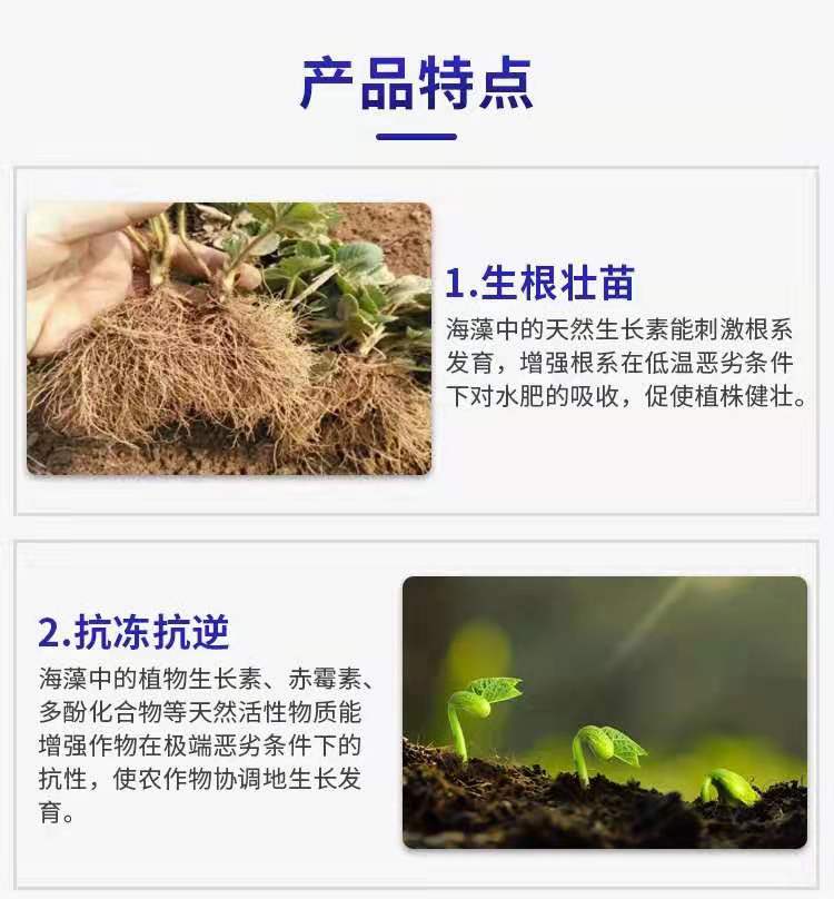 土壤改良肥  海藻精