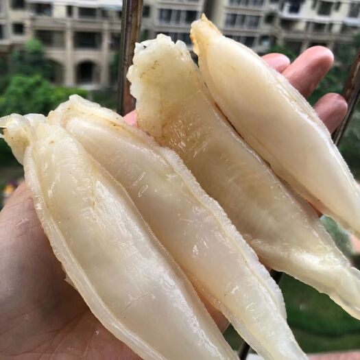 佛山170头金龙鱼胶金龙筒鱼胶花胶气筒胶质丰富500g