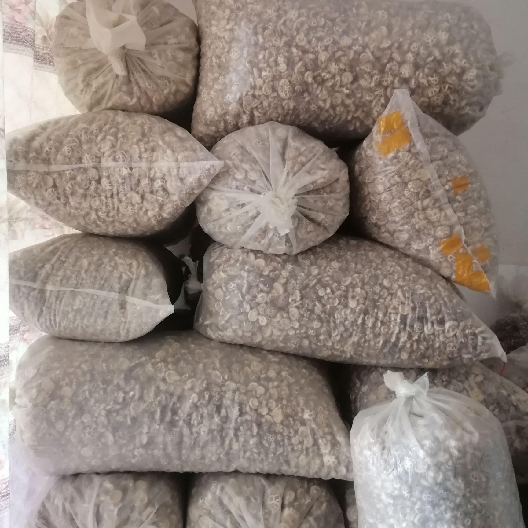 包邮冬菇精选厚肉冬花菇自种植干香菇剪脚/未剪脚任选可视频看货