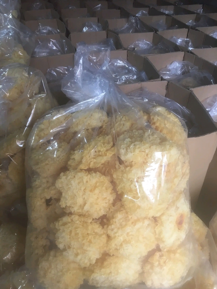 椴木银耳  银耳，金耳专业户需要银耳联系
