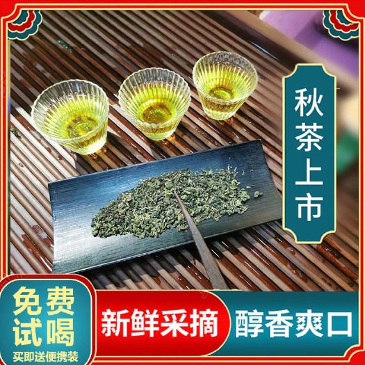 淅川县南丹鑫悦蛋白桑叶茶170克特级正品简装