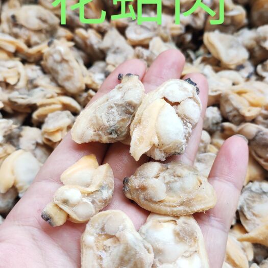 北海花蛤肉 蛤蜊肉 花甲螺肉 沙甲海螺肉 花螺肉