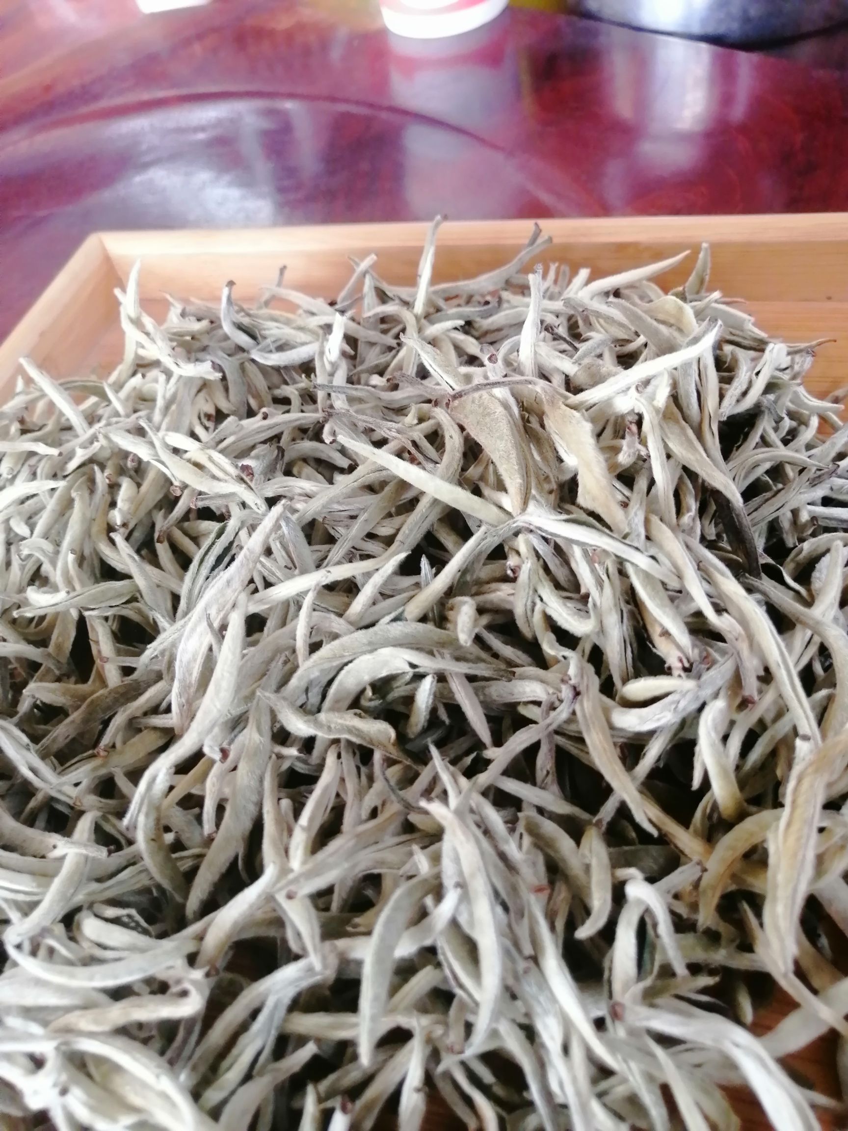 月光白云南白茶头春茶高海拔白茶单芽白茶阴干茶秧塔白茶自产自销