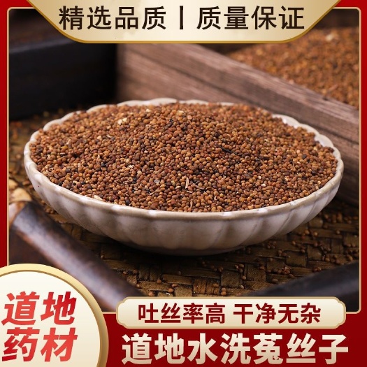 亳州中药材精选 新货 内蒙菟丝子大菟丝子 菟丝子粉