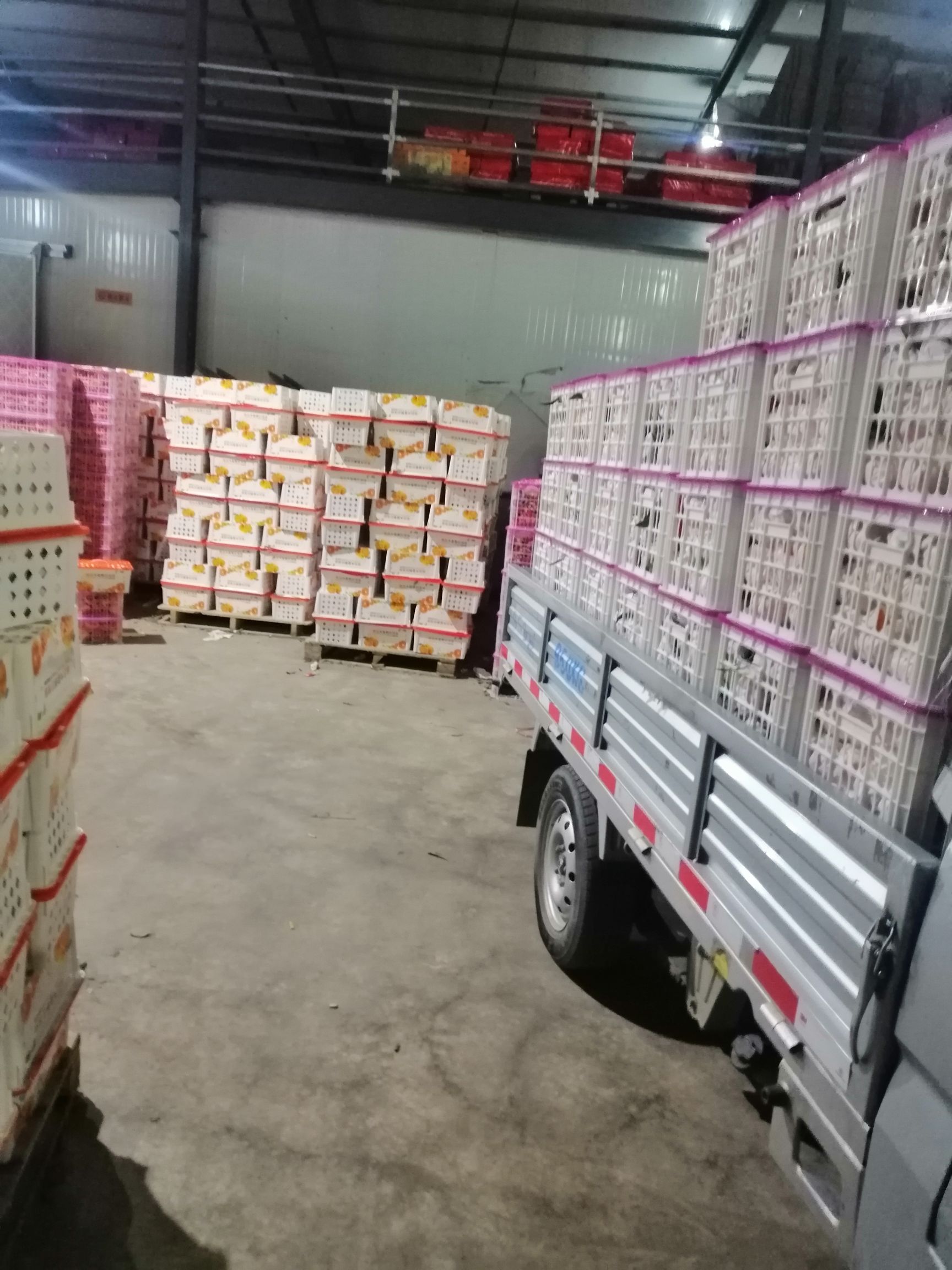 眉山不知火，丑柑，脆甜，水份好，颜色好，个头大，欢迎各位老板