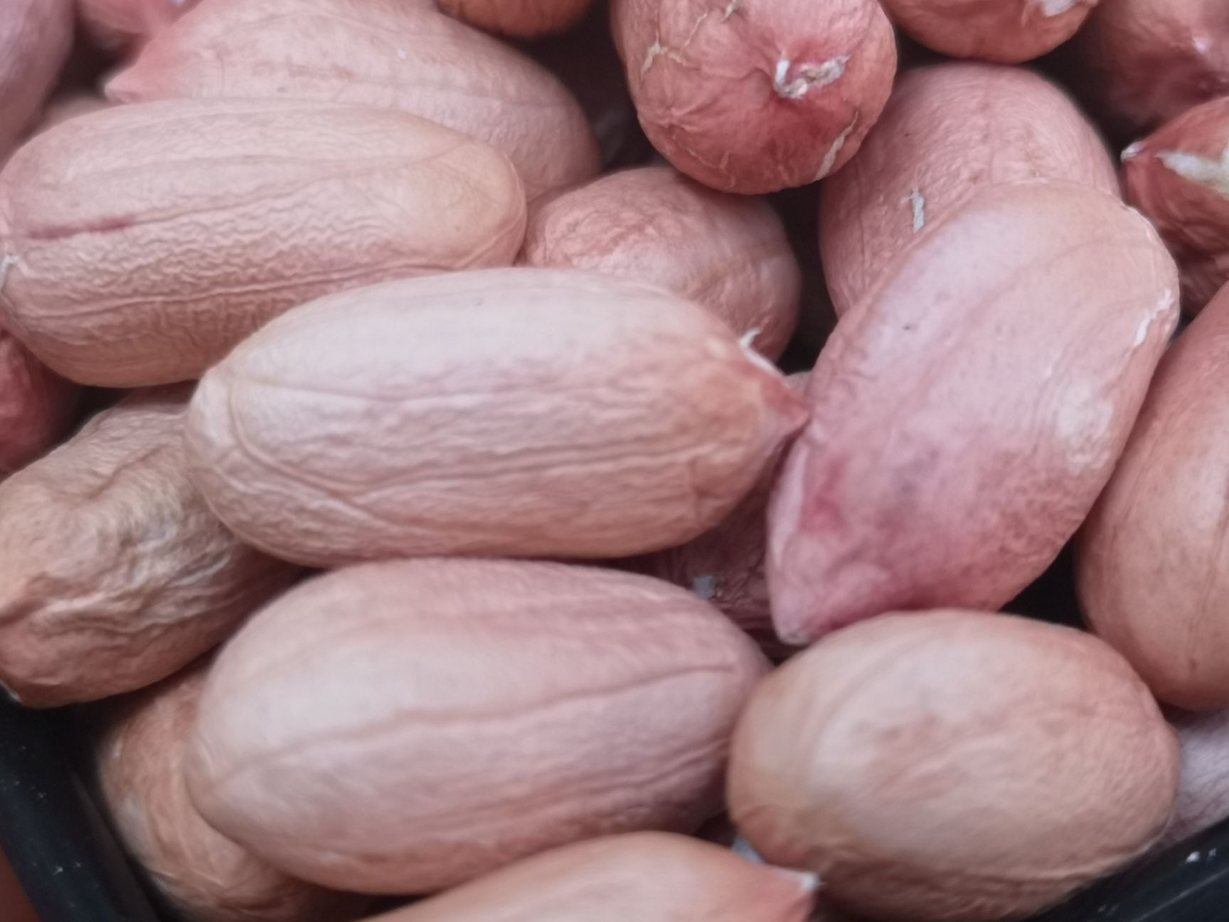 冀花系列  特大粒花生米大名99-1精品手选米特级批发零售