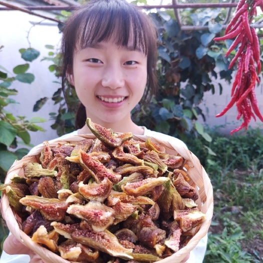 广州无花果干