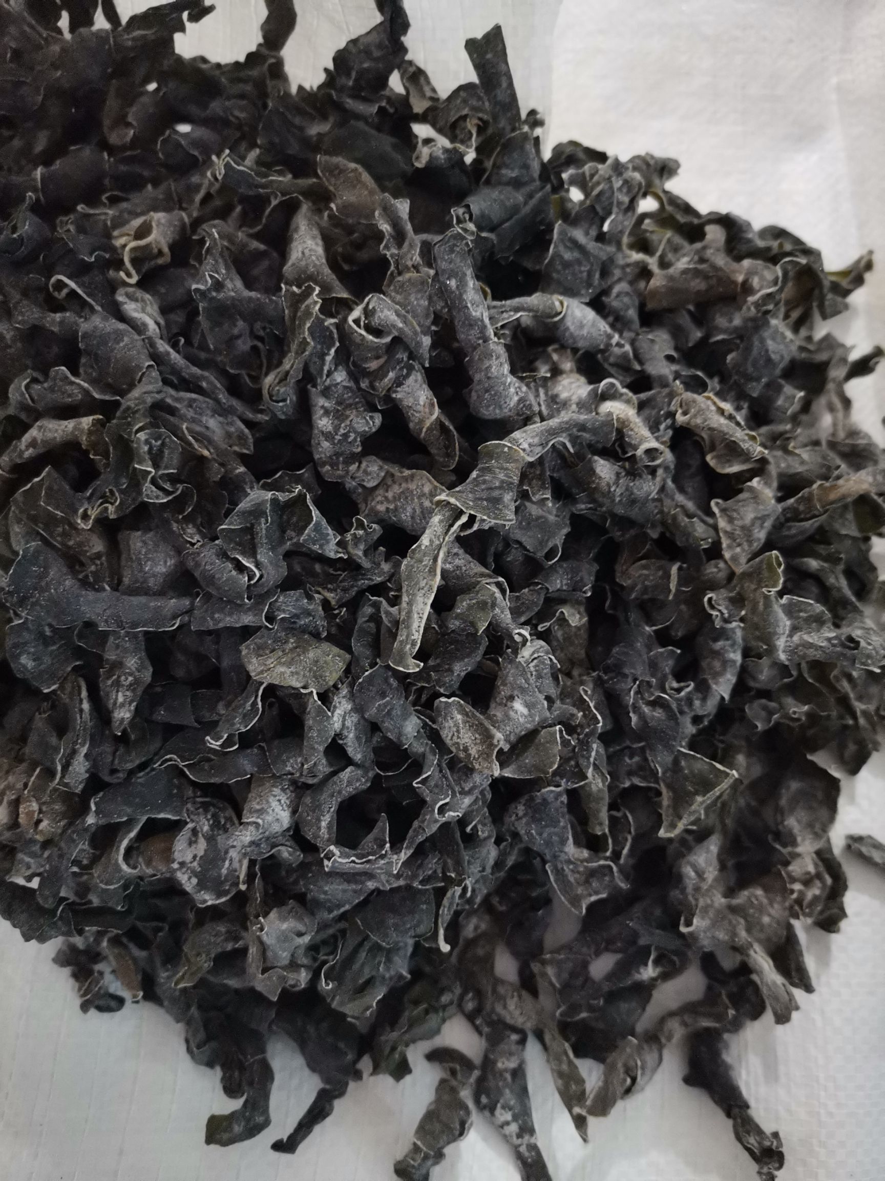 海带扣 老科长海带结：墨绿厚小结.每斤干货约580个.1比8