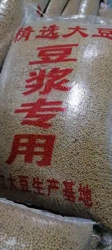 辽源小黄豆 大豆干度13个水份以内可炸油每百公斤大豆可笨炸油15公h