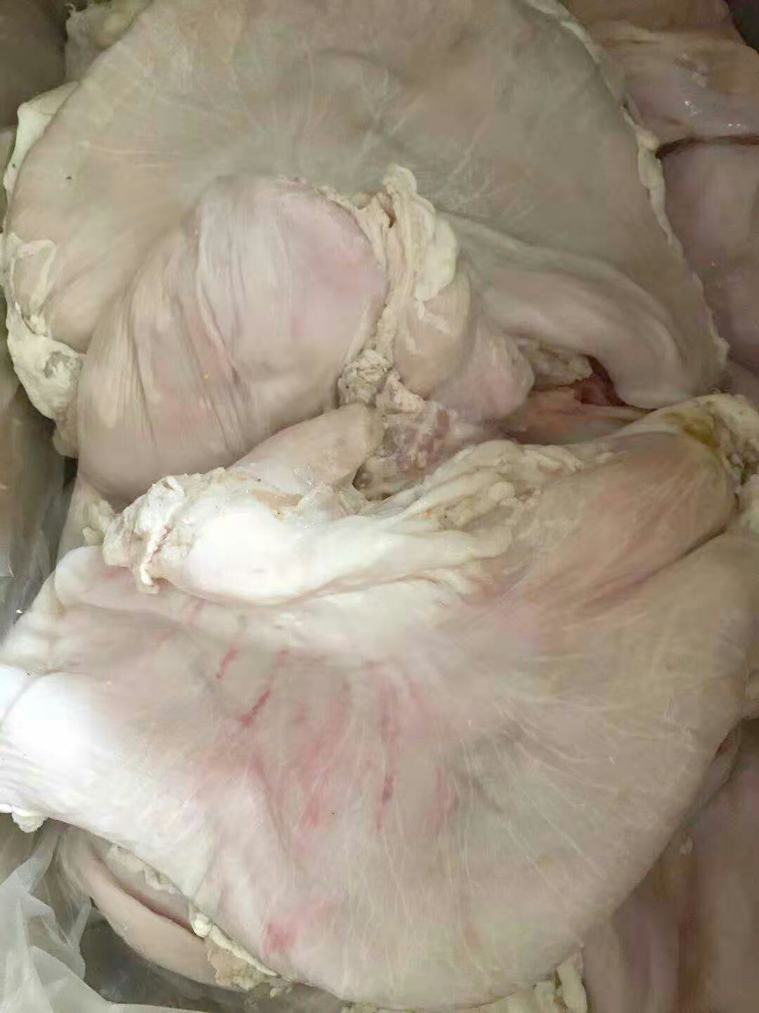 猪肚，猪片肚一件代发，量大从优