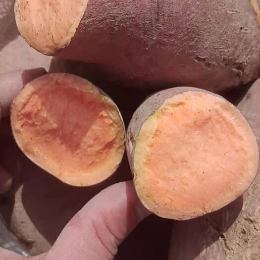 西瓜红红薯