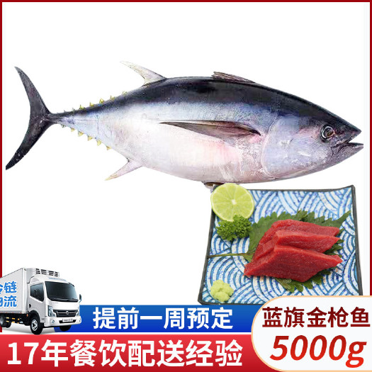 蓝旗金枪鱼5kg 整条新鲜刺身蓝旗黄鳍深海鱼斯里兰卡金枪鱼