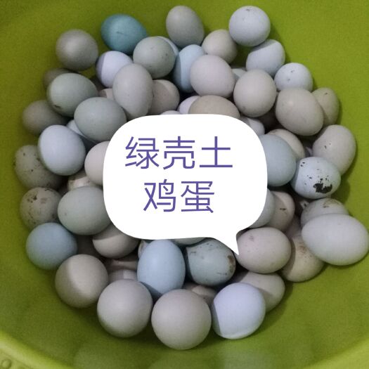 宜都市 山村自养乌鸡下的绿壳土鸡蛋