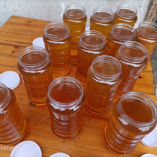 浦北县 长期批发荔枝蜜，龙眼蜜，百花蜜，冬蜜