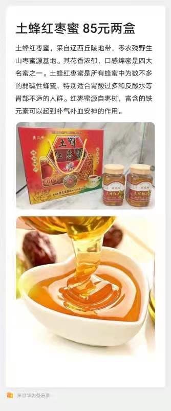 朝阳县土蜂蜜 土蜂红枣蜜