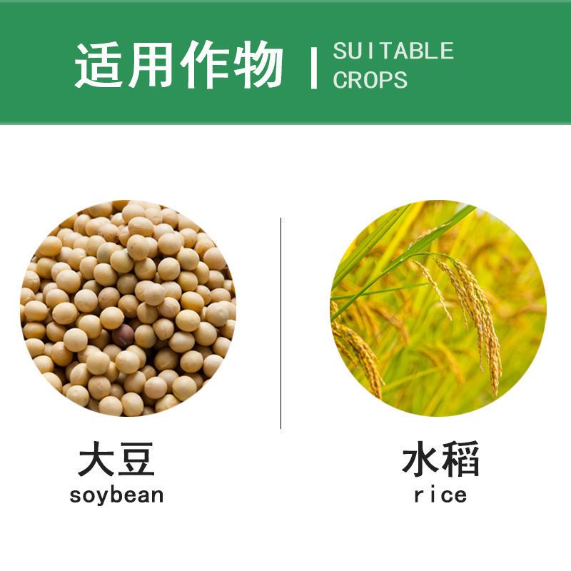 精甲咯菌腈  亮盾