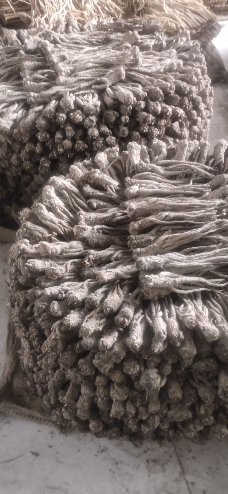 岷县产当归【包邮】 自产自销自然凉晒无硫剪尾归取毛归产地批发