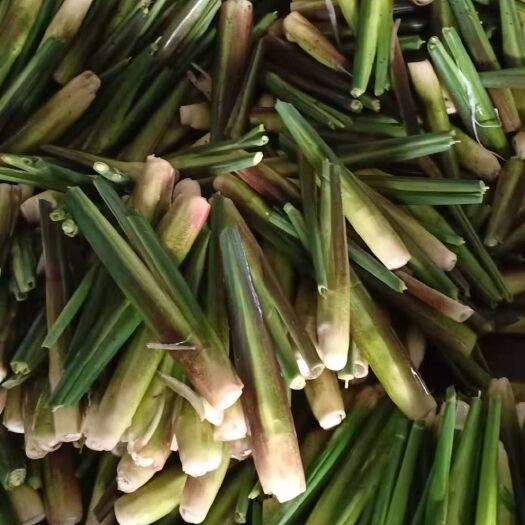 漳州新鲜茭白，产地供货，量大促销。