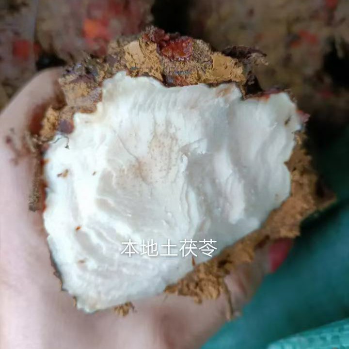 真正白肉土茯苓不变色，合适煲汤不苦味道清淡合适入口
