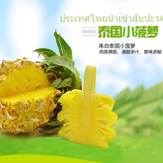 上林县迷你小菠萝香水菠萝香脆甜菠萝小凤梨孕妇水果菠萝除味大菠萝