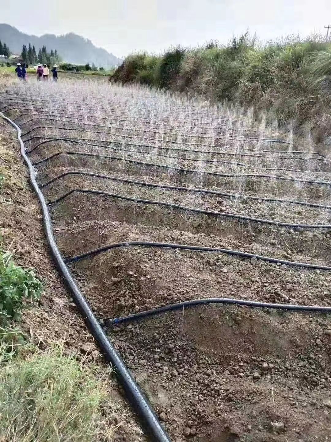 輸水帶噴灌帶微噴帶溫室大棚自動(dòng)澆水農(nóng)業(yè)種植灌溉專用水帶