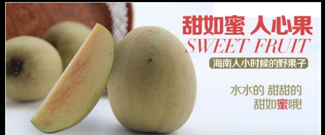 人心果树苗  甜人心果树带果大苗