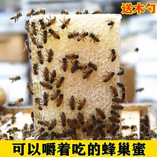 昆明 【花蜜鲜】新鲜荆条蜂巢蜜嚼着吃的带巢蜂蜜百花蜂巢蜜农家自产