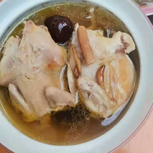 江门白条鸡  山鸡白条七彩山鸡白条跑山鸡白条