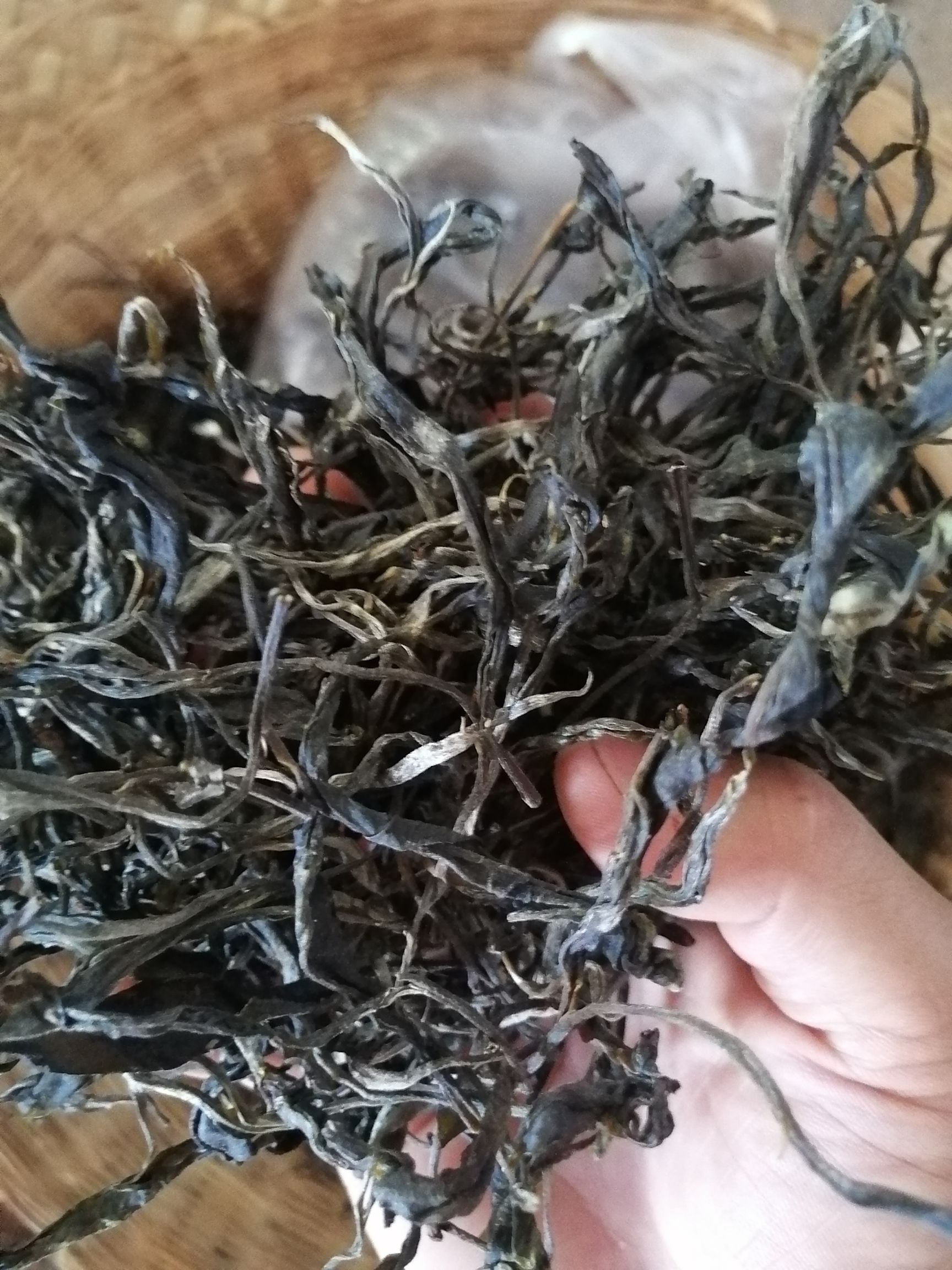 精选普洱茶生茶生态茶古树茶生普洱自产自销，一手货源，纯手工制