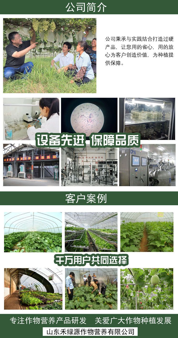 颗粒硼  铜铁锰锌硼钼肥微力奇微量元素水溶肥料果树蔬菜花卉通