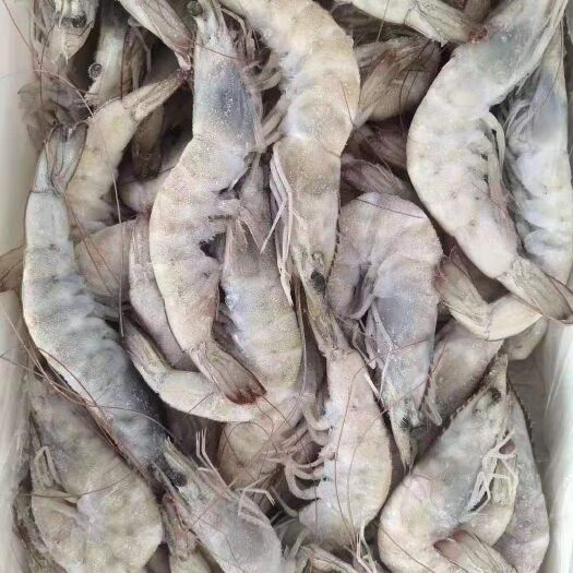 成都南美白对虾  盐冻虾