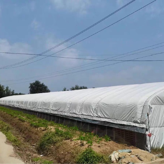 沭阳县 优质大棚 蔬菜大棚 大棚骨架 花奔大棚 养殖大棚  钢管批发