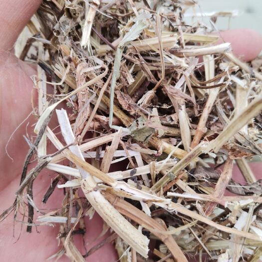 正阳县花生秧 
