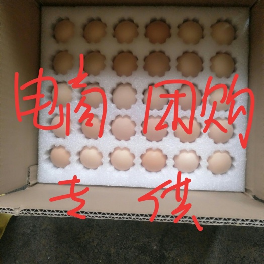 涉县土鸡蛋